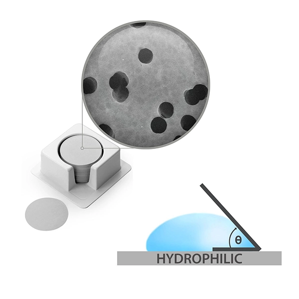 PCTE Hydrophilic Membranes