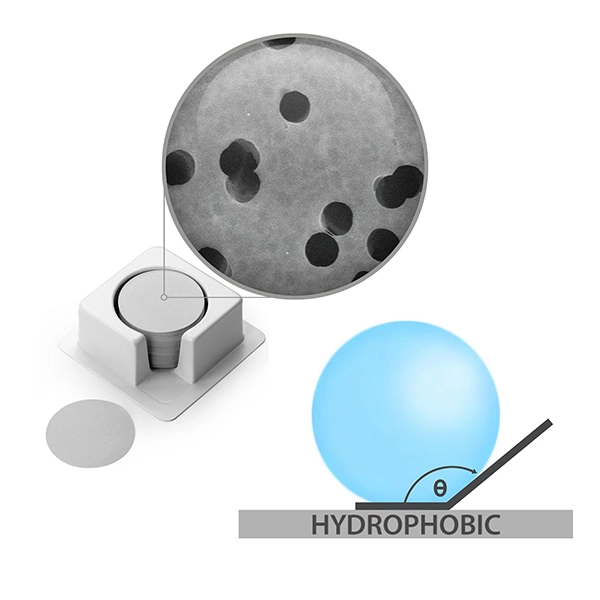 PCTE Hydrophobic Membranes