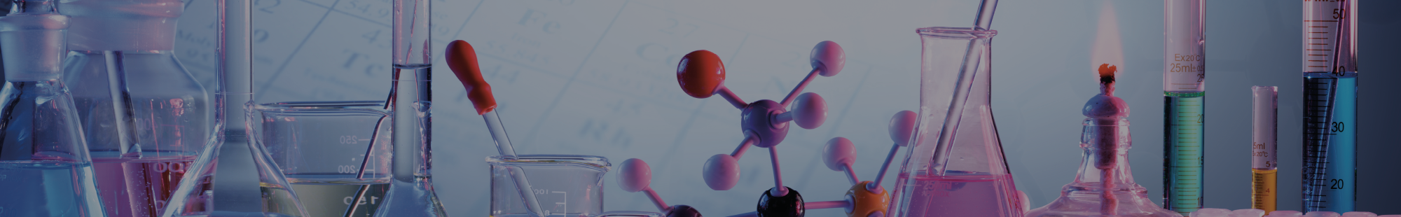 Laboratory Notebooks