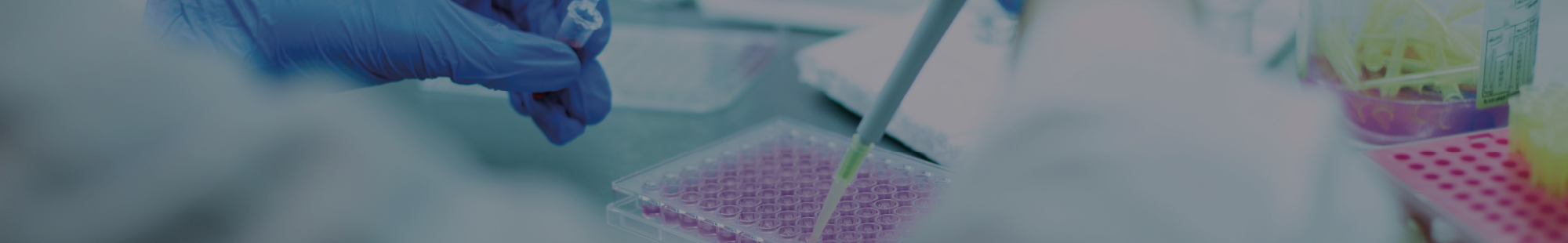 Pipette Controllers